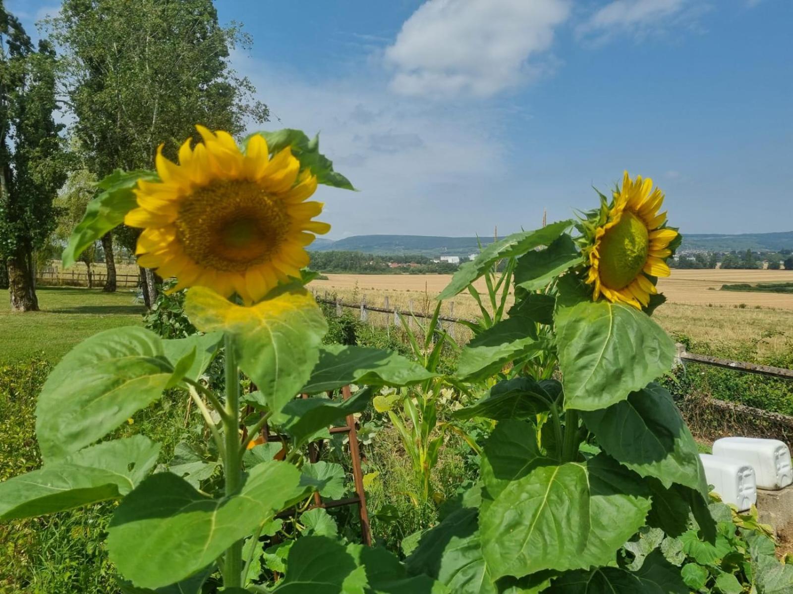 La Fruitiere Appartement Chaudenay  Buitenkant foto
